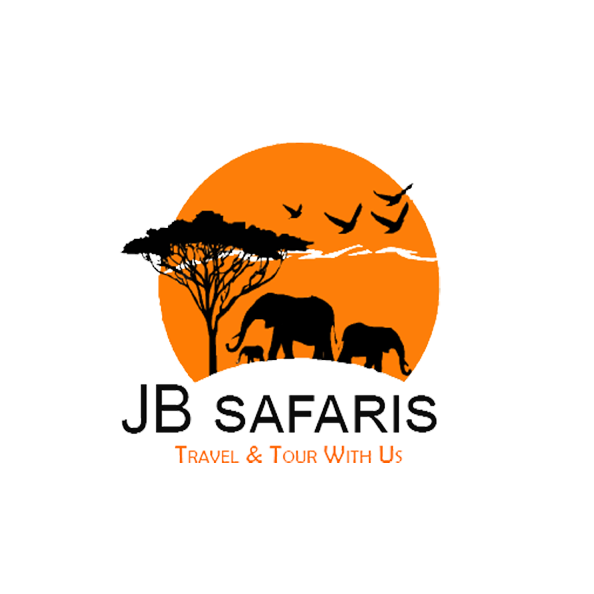 JB Safaris tour-logo